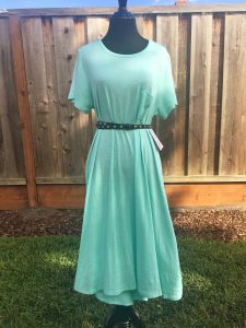 Carly Dress with Belt