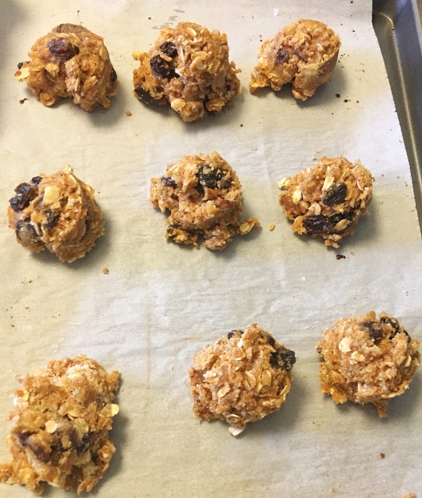 Vegan Oatmeal Cookie Treats